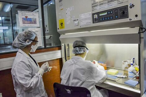 Coronavirus: el Malbrán recibió 50 mil tests para detectarlo