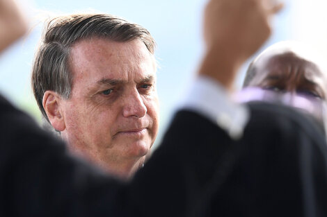 Las ratas invaden a Bolsonaro 