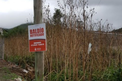 No limpiar un terreno baldío es delito 