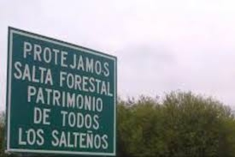 Piden informes sobre los fondos de Salta Forestal