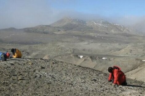 Descubren que la Antártida tuvo clima cálido hace 40 millones de años 