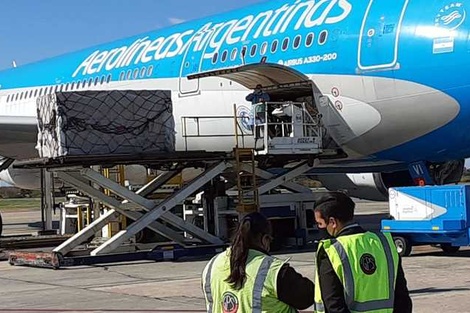 El avión, esta tarde, en Ezeiza, tras haber arribado de China. 