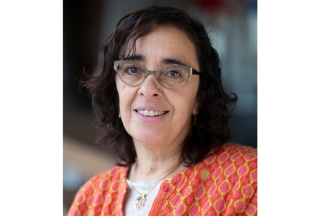 Dévora Kestel, es la primera mujer en su cargo en la OMS.