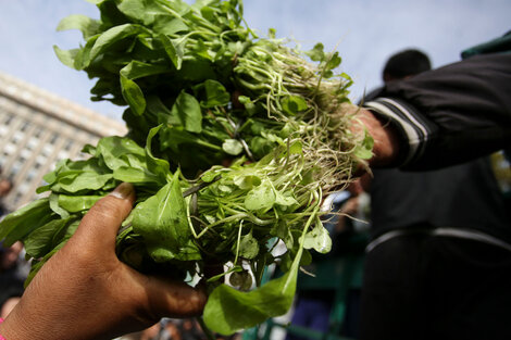 Coronavirus: donan 6 mil kilos de verduras a comedores 