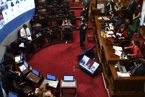 Por primera vez se aprobaron leyes a distancia en el Senado