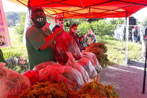 Bolsones de verduras de la UTT para la Villa Azul