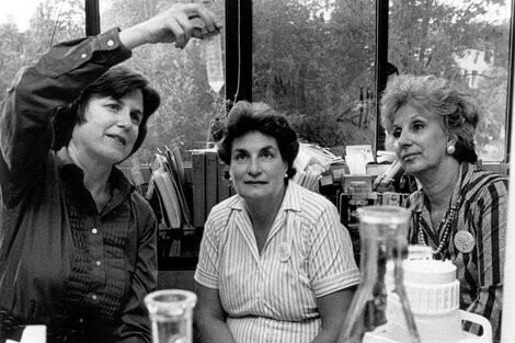 La genetista Mary Claire King explica a las Abuelas Estela de Carlotto y Nélida Navajas cómo se determina el “índice de abuelidad” el 10 de agosto de 1983.