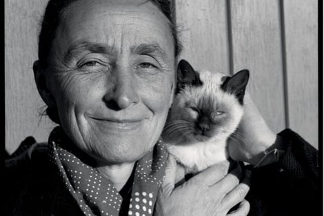 Georgia O´Keeffe y su gatitx