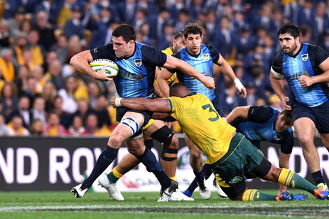 pumas australia