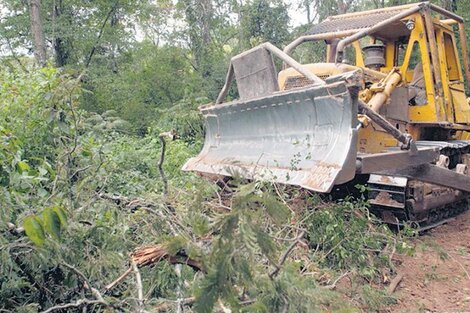 El desafío y el encanto de transformarnos