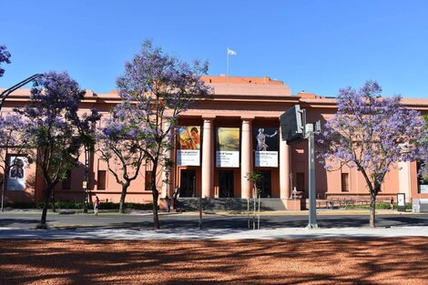 Protocolo para museos: una persona cada 16 metros y suspensión de visitas grupales