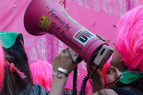 La agrupación Rosa Salvaje es una de las denunciantes.