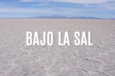 Bajo la sal