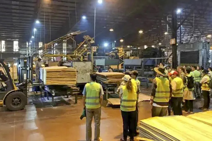 Maderera correntina cesa sus actividades y suspende a 520 operarios