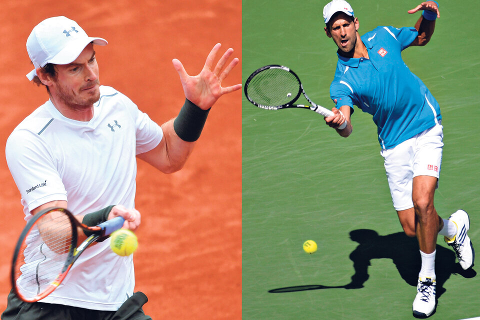 Murray y Djokovic, entre ellos habrá otra disputa en juego: quién termina el año como número 1.