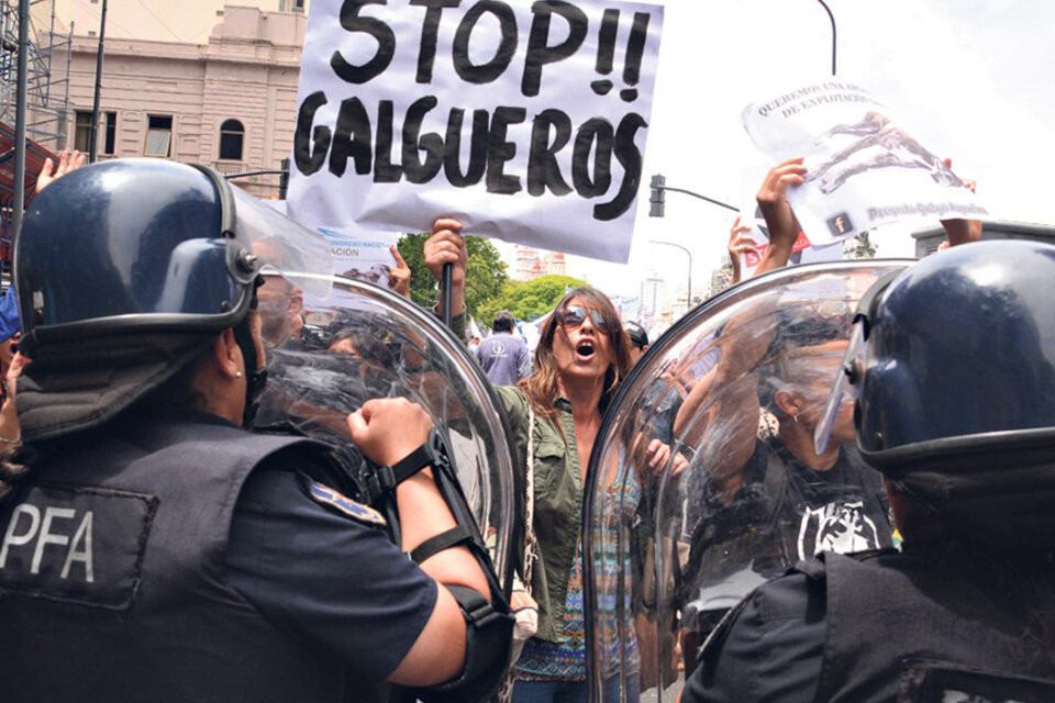 Proteccionistas y defensores de las carreras de galgos se manifestaron ayer frente al Congreso. (Fuente: DyN)