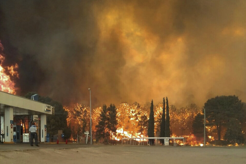 Por el incendio estuvo cortada la ruta 11 entre Valeria del Mar y Cariló durante toda la tarde. (Fuente: Télam)