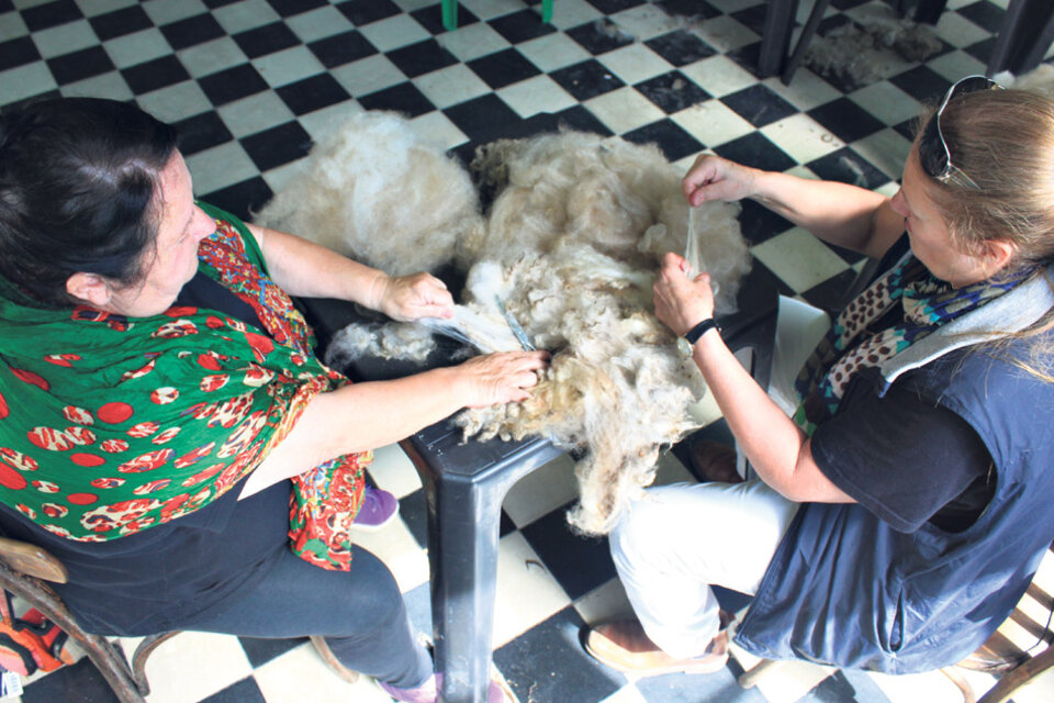 Un grupo de hilanderas con vellón y rueca, el modo más tradicional de tejer. (Fuente: Lorena López)