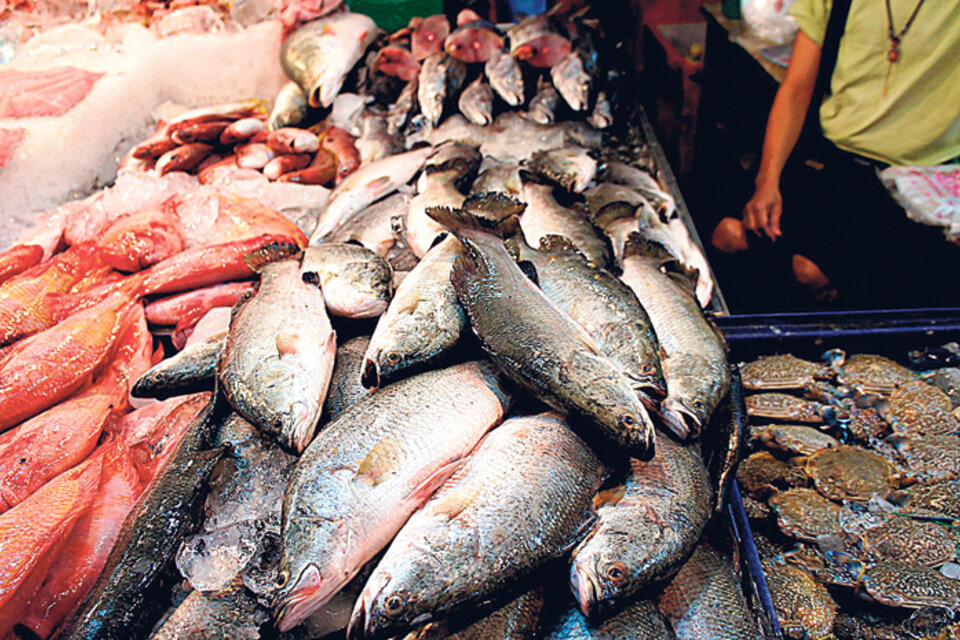 La ingesta de pescado en 2016 retrocedió a 7,1 kilos por habitante, el menor volumen en la última década.