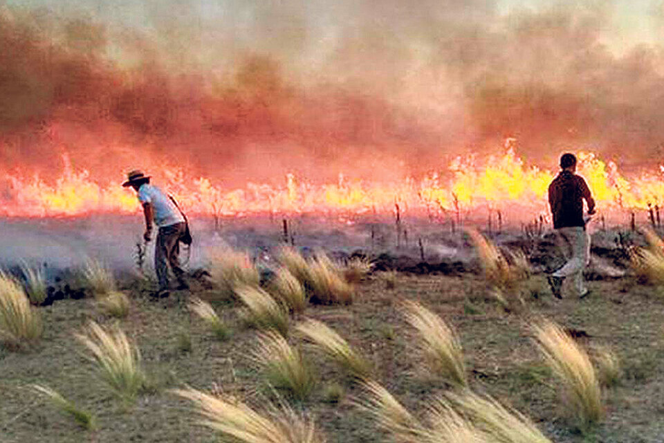 El viento y el intenso calor en La Pampa dificultan las tareas de los bomberos. (Fuente: Gentileza El Día)