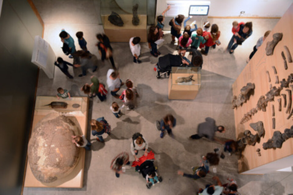 En cada uno de sus niveles el Museo Gallardo propone dispositivos para la interacción. (Fuente: Fernanda Forcaia (Gentileza MIC))