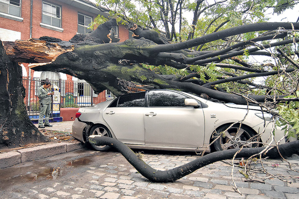 Uno de los muchos autos aplastados por la caída de árboles, en Parque Centenario. (Fuente: DyN)