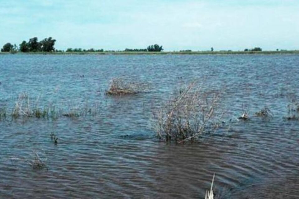 Las aguas bonaerenses bajan turbias (Fuente: La inundación en Villegas llevó a una denuncia. )