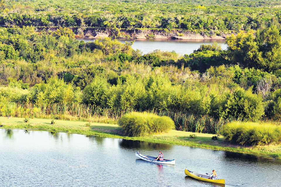 Paseo en canoa por la laguna artificial, bordeada de vegetación espesa.