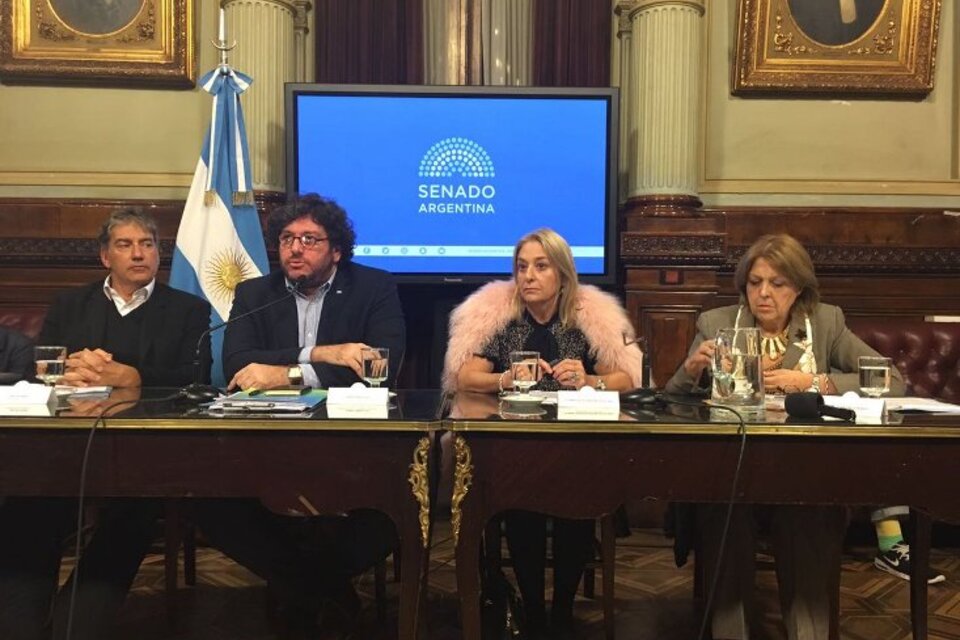 Avelluto, en su visita de esta tarde al Senado. (Fuente: Twitter)