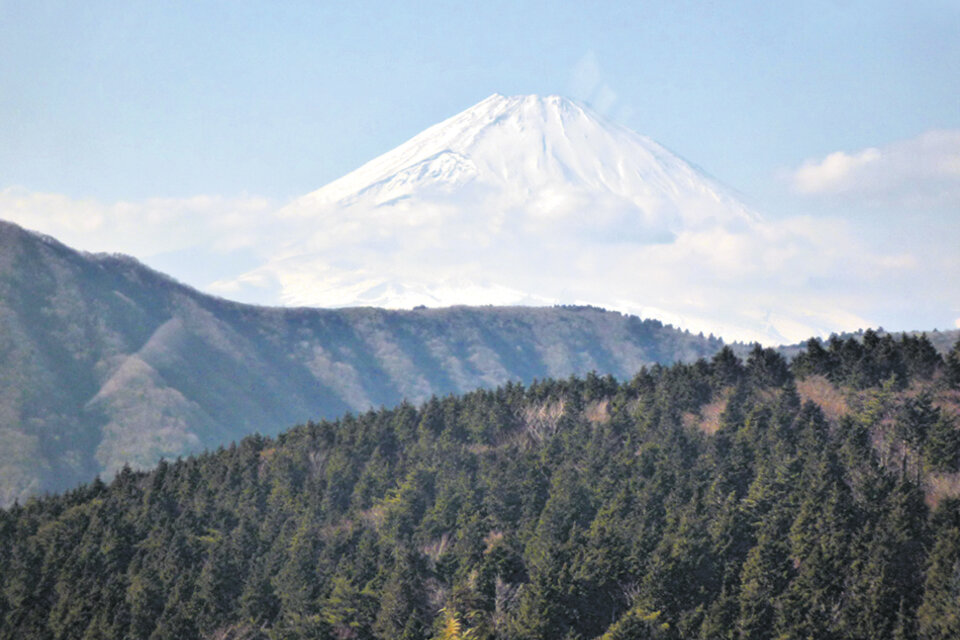 Fuji-san, el volcán de 3776 metros que se divisa incluso desde Tokio, aquí en Hakone. (Fuente: Graciela Cutuli)