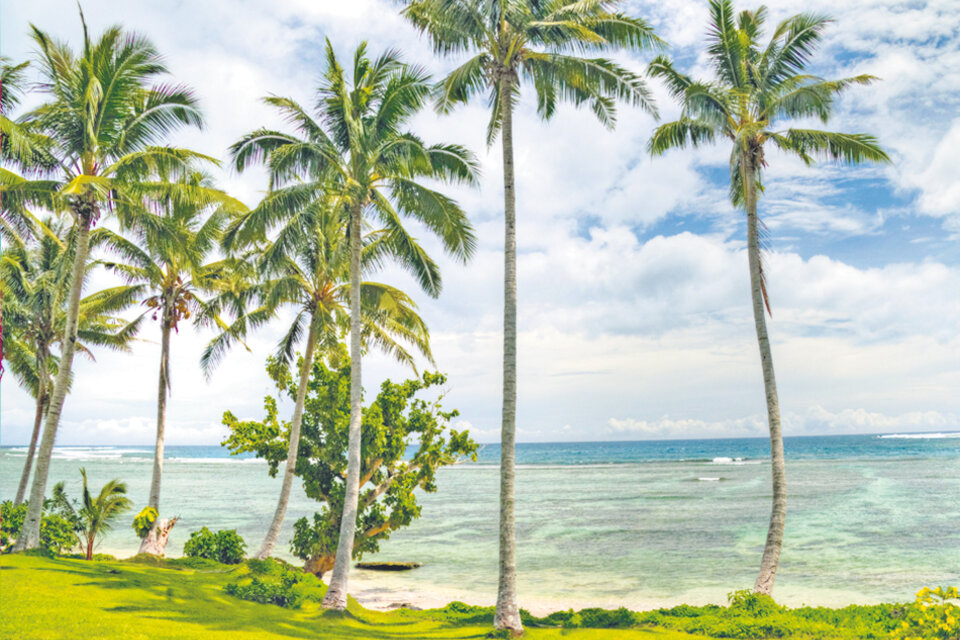 La costa de Samoa, palmeras y un mar de colores verdeazulados.