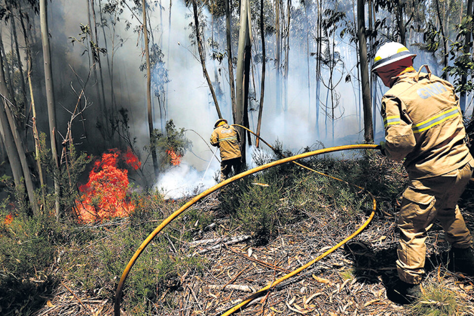 Bomberos, rescatistas y voluntarios luchan por controlar el peor incendio forestal en Portugal.