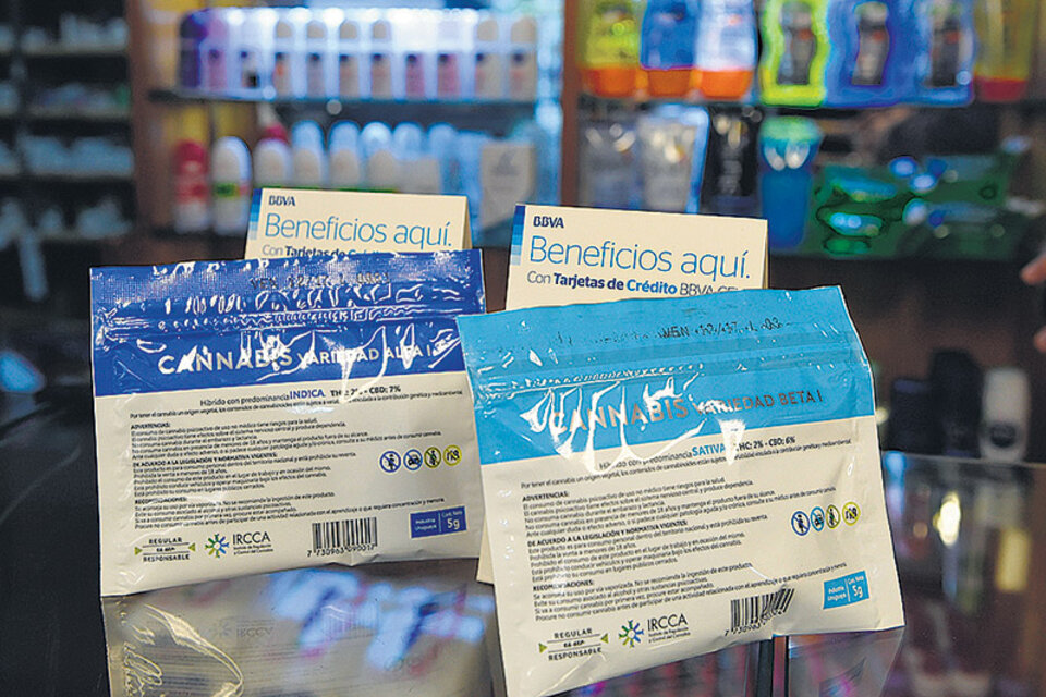 Los paquetes que se venden en las farmacias contienen dos variedades distintas.