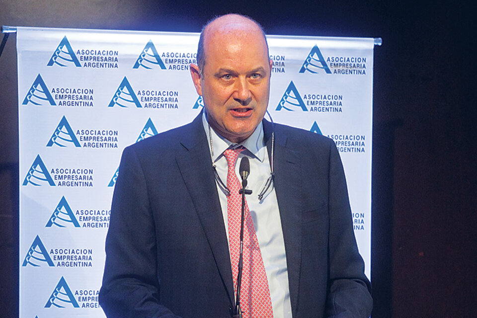 Federico Sturzenegger, presidente del Banco Central, expuso en un congreso de AEA. (Fuente: DyN)