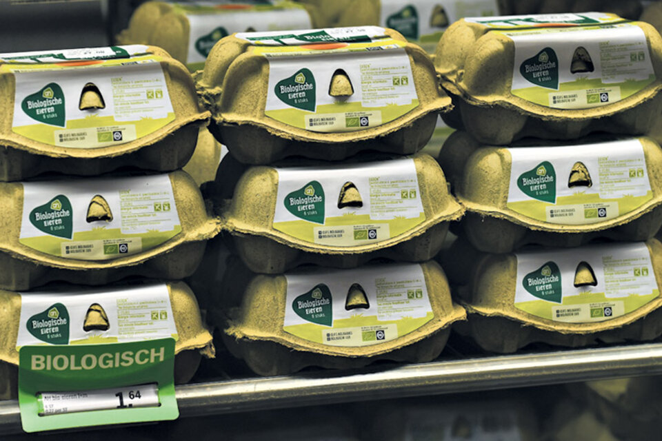 Los supermercados retiraron de las góndolas los huevos de Holanda. (Fuente: AFP)