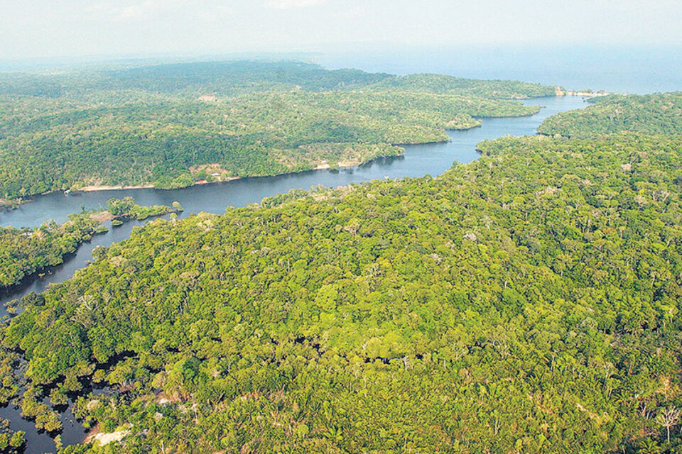 Vista aérea de un área selvática en Amazonia, cerca de Manaos, similar a la que Temer habilitó a las mineras. (Fuente: EFE)