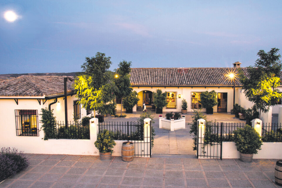 Finca El Regajal, en el municipio de Aranjuez, un paraíso de olivares y viñedos.