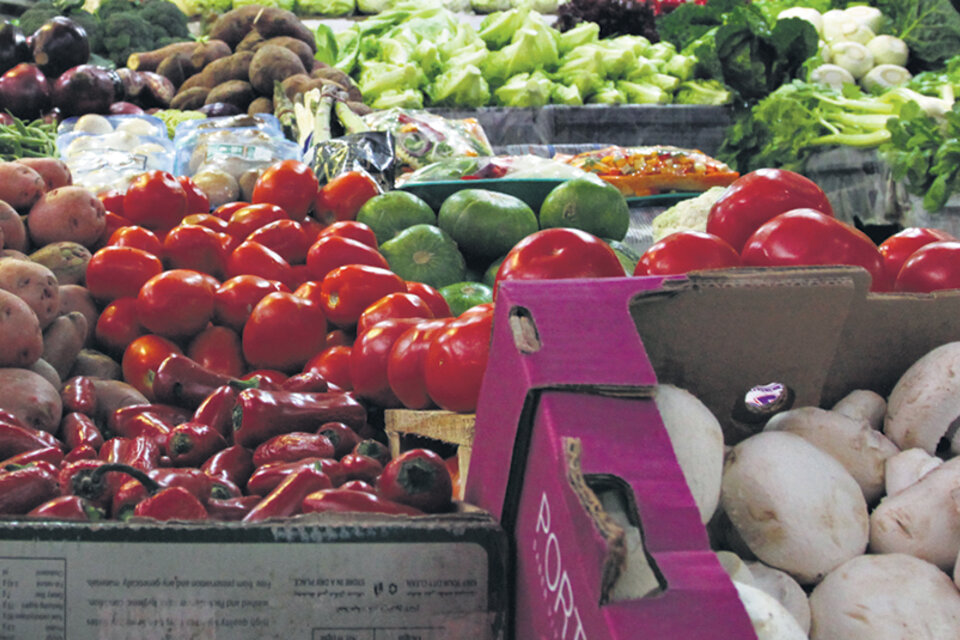 El precio del tomate redondo se disparó 44,4 por ciento en agosto. (Fuente: Bernardino Avila)