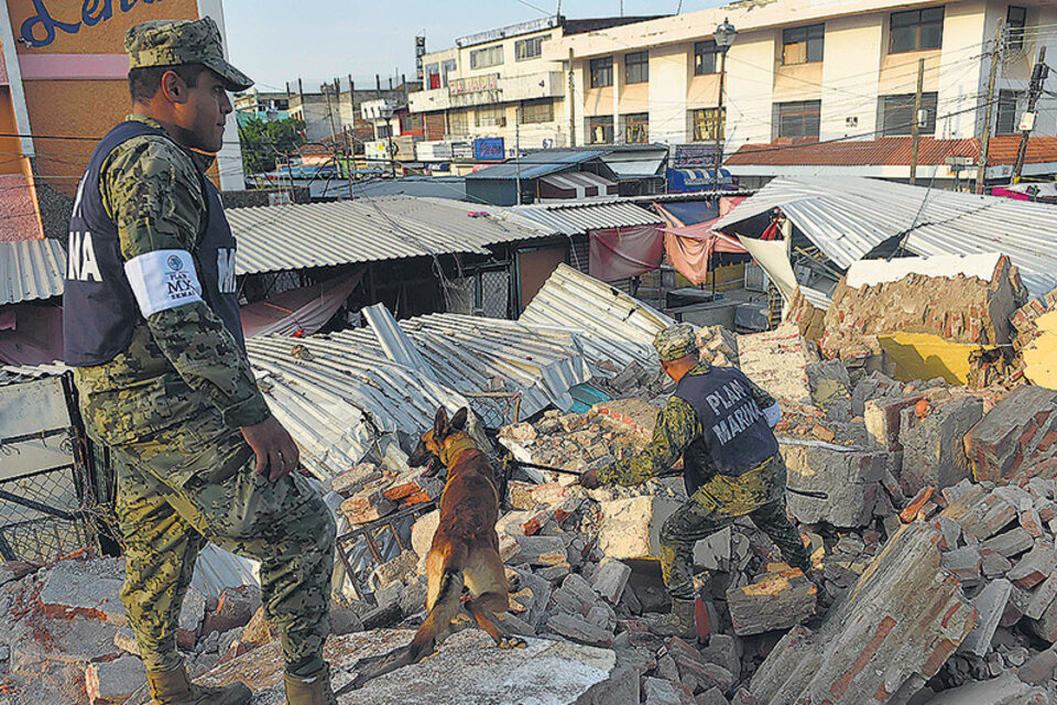 Rescatistas con perros buscan sobrevivientes entre los escombros. (Fuente: EFE)