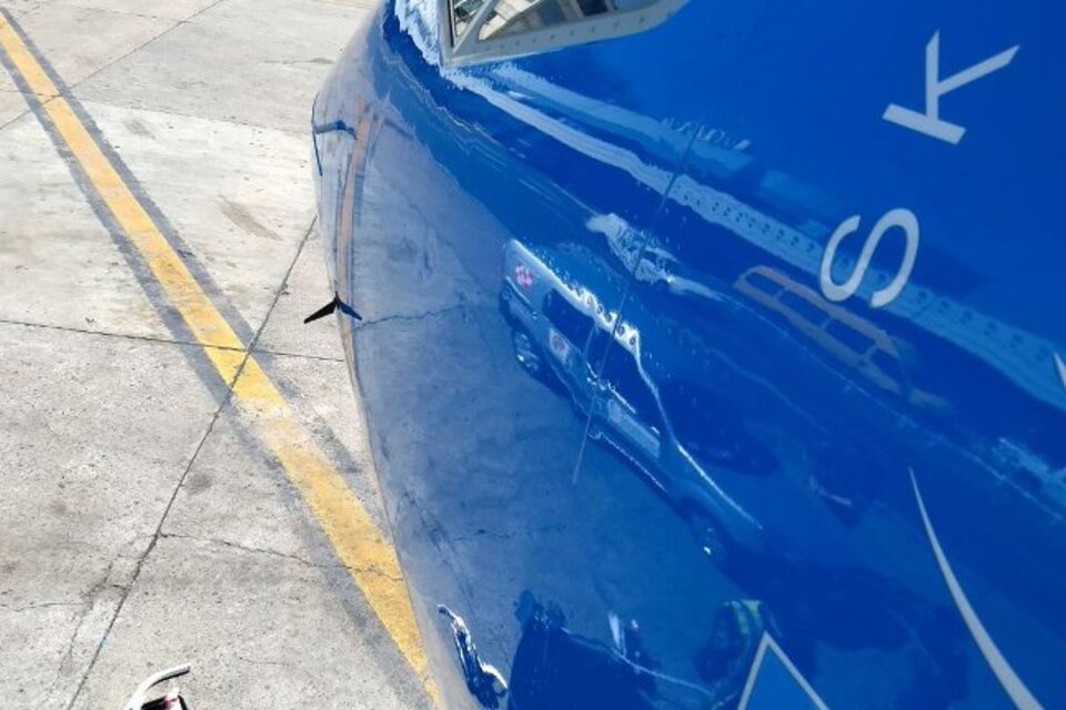 La nariz del avión de Aerolíneas con la abolladura por el impacto. (Fuente: Twitter @vickyulf)