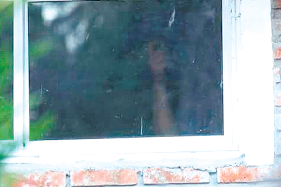 La imagen de Jorge Acevedo que permitió distinguir la silueta detrás del vidrio. (Fuente: Jorge Acevedo)
