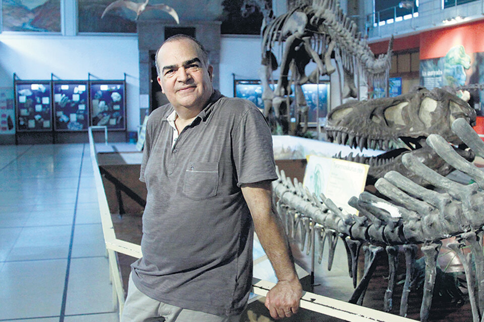 “Argentina es espléndida para la paleontología” (Fuente: Jorge Larrosa)