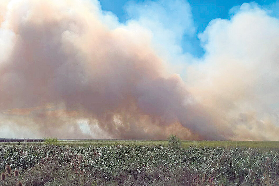 La reserva natural de Punta Lara en llamas desde el miércoles.