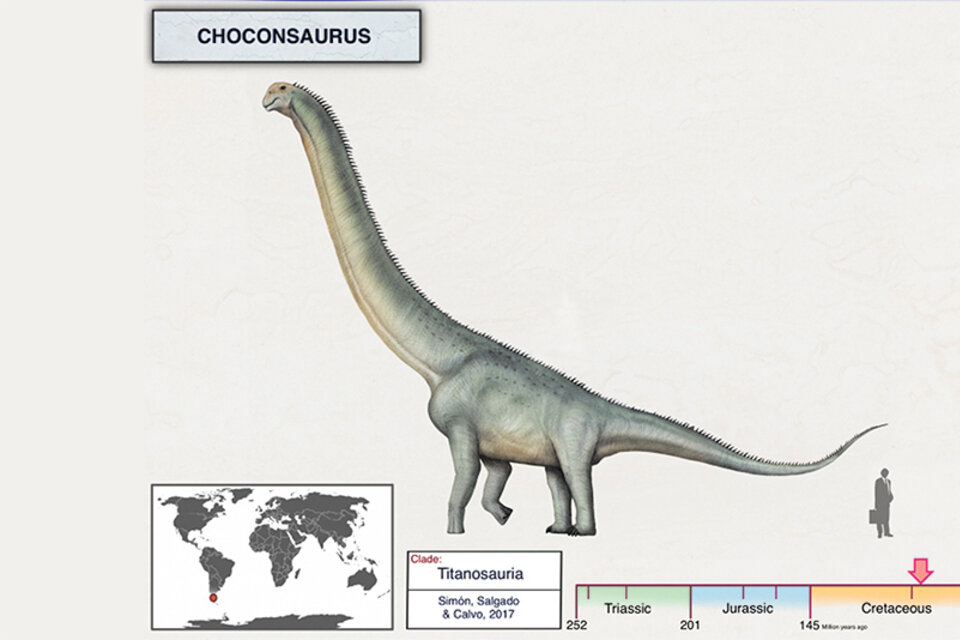 El Choconsaurus era herbívoro y alcanzaba una altura similar a la de un tercer piso.