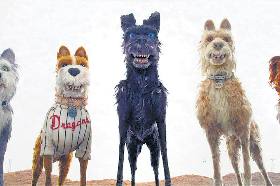 En Isla de perros, Murray es Boss, mascota del equipo de béisbol Megasaki Dragons.