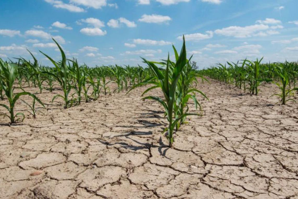 El principal impacto macroeconómico de la sequía se sentirá por el lado de la reducción en la cantidad de dólares.