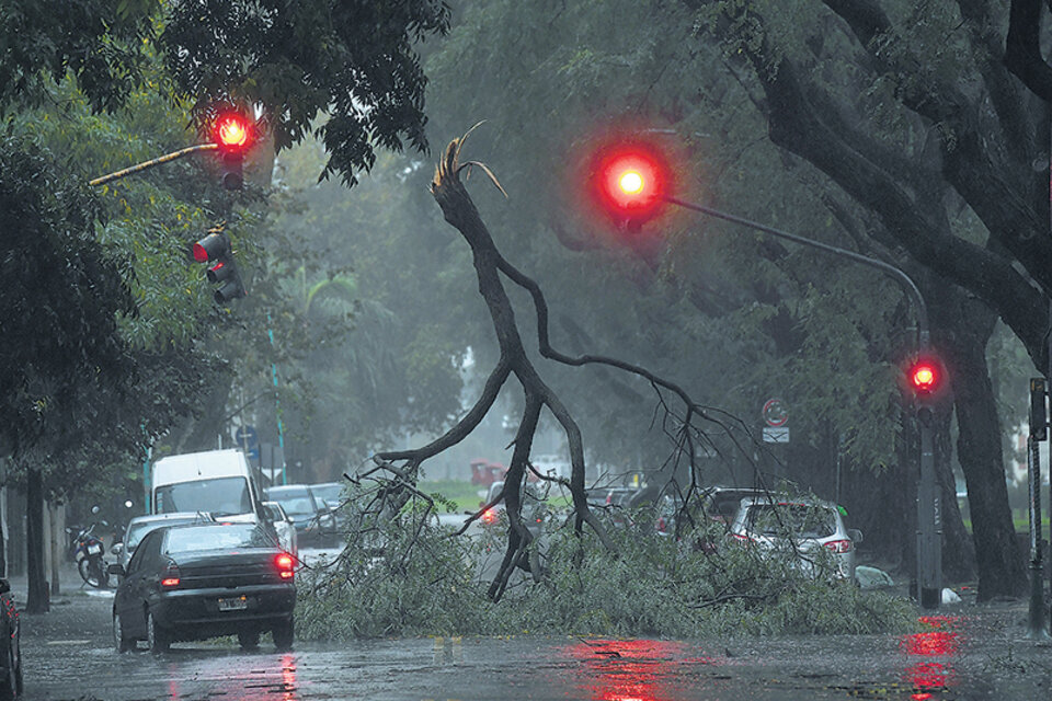 Imágenes increíbles tras el paso del temporal en una de las calles porteñas. (Fuente: Télam)