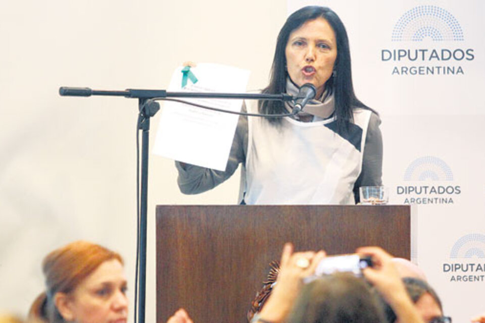 Claudia Piñeiro despertó una ovación en el segundo día de debate por el aborto. (Fuente: Bernardino Avila)