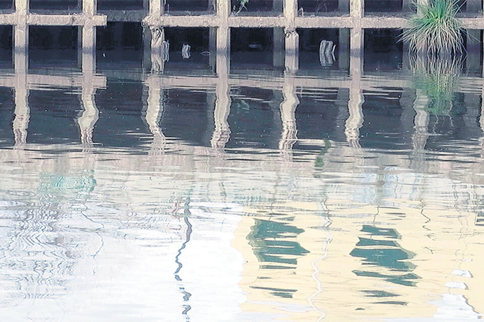 Una imagen de El estanque, de Gustavo Fontán, inspirado en un texto de Gloria Peirano.