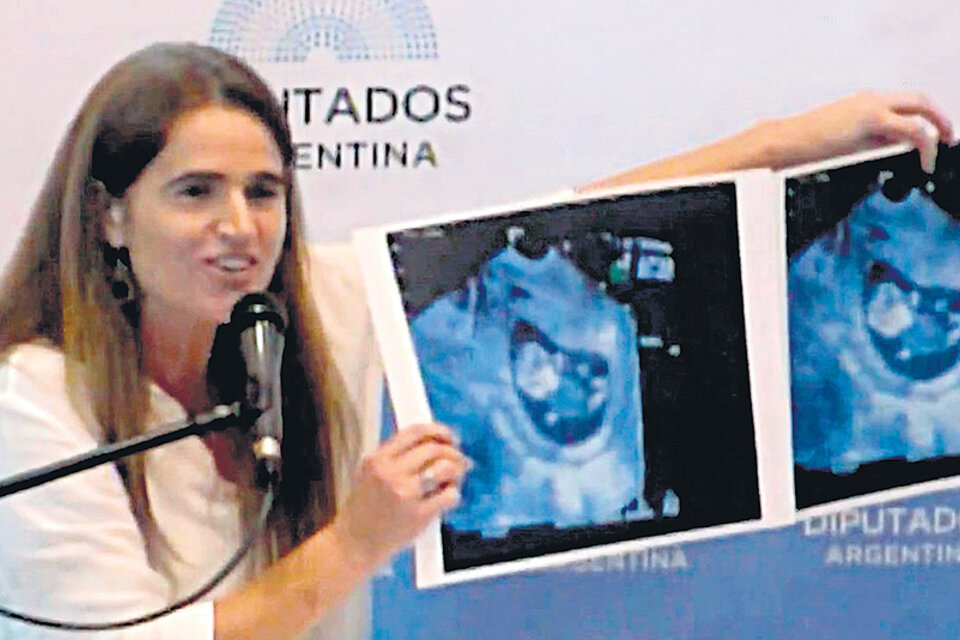Mariana Rodríguez Varela, la animadora de la campaña #ElBebito.